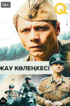 Жау көлеңкесі